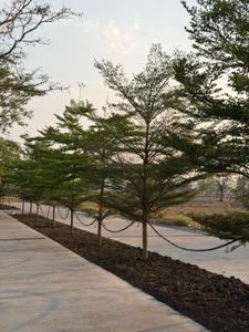 Image of 1000 Sq.ft Residential Plot / Land for sale in Bijaur, Bilaspur for Rs. 2000000