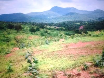 Image of 1089 Sq.ft Residential Plot / Land for sale in Pen, Raigad for Rs. 236000