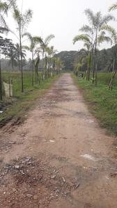 Image of 1440 Sq.ft Residential Plot / Land for sale in Amtala, Kolkata for Rs. 600000