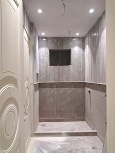 Common Bathroom Image of 2700 Sq.ft 4 BHK Builder Floor for sale in Paschim Vihar New Delhi for Rs. 60000800