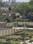 Banthra Sikander Pur	 Plot View 2