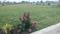 Panchderiya Plot View 2