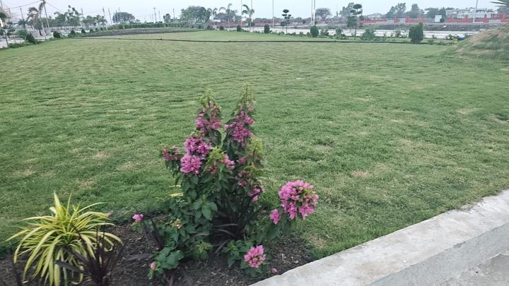 Palakhedi Main Image 1