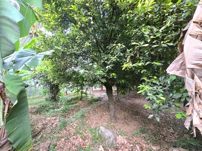 Image of 3262 Sq.ft Residential Plot / Land for sale in Alangad, Kochi for Rs. 3150000