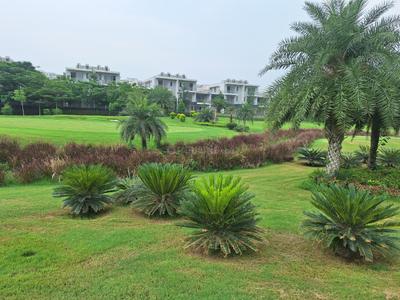 Greenbay Golf Village Plot View 3