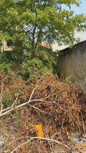 Shakti peeth Plot View 2