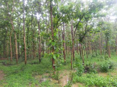 Image of 1944 Sq.ft Residential Plot / Land for sale in Pallakadiyam, Rajahmundry for Rs. 1458000