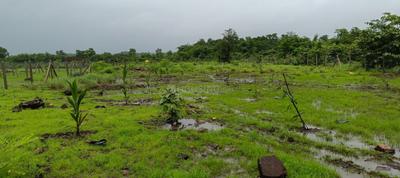 Image of 12700 Sq.ft Residential Plot / Land for sale in Murbad, Thane for Rs. 2125000