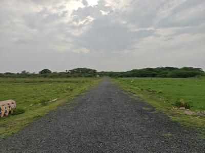 Image of 980 Sq.ft Residential Plot / Land for sale in Chengalpattu, Chennai for Rs. 1469040