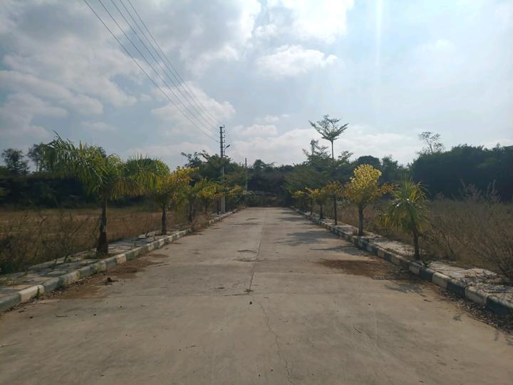 Golden City Main Image 1