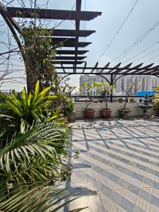 Image of 550 Sq.ft 2 BHK Builder Floor for rent in Pioneer Floors - 8, Sector 15, Gurgaon for Rs. 35000