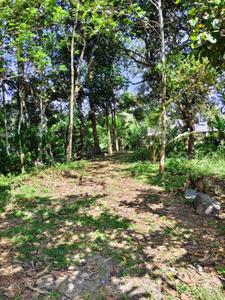 Image of 13050 Sq.ft Residential Plot / Land for sale in Irinjalakuda, Thrissur for Rs. 3000000