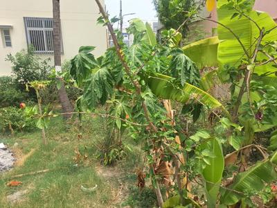 Image of 1800 Sq.ft Residential Plot / Land for sale in Kodipalya, Bengaluru for Rs. 20700000