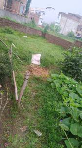 Image of 1361 Sq.ft Residential Plot / Land for sale in Hasanpura, Patna for Rs. 4800000