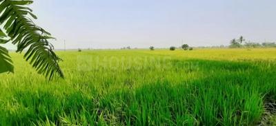 Image of 338896 Sq.ft Residential Plot / Land for sale in Shyampur, Bhopal for Rs. 16800000