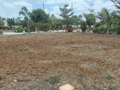 ARKA grand Plot View 2