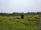 METRO PLEXCITY Plot View 2