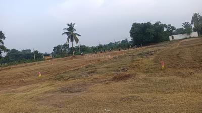 Image of 880 Sq.ft Residential Plot / Land for sale in Madhurapudi, Rajahmundry for Rs. 650000