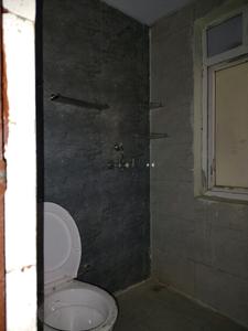 Common Bathroom Image of 1044 Sq.ft 3 BHK Apartment / Flat for rent in Amrapali Dream Valley 2, Noida Extension Greater Noida for Rs. 20000