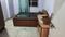 Vinayak CHS Bedroom One 2