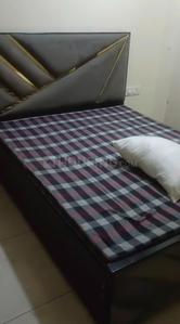Bedroom Image of 1800 Sq.ft 3 BHK Apartment / Flat for rent in Adarsh Nagar Jaipur for Rs. 32000