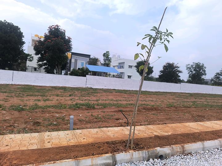 PGR Urban City Near IVC road Main Image 1