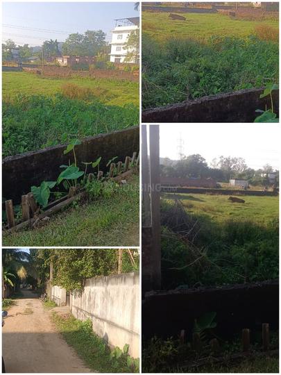 Oil Gate Birkuchi Main Image 1