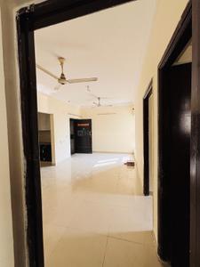 Hall Image of 1050 Sq.ft 2 BHK Apartment / Flat for rent in Paramount Emotions, Noida Extension Greater Noida for Rs. 21000