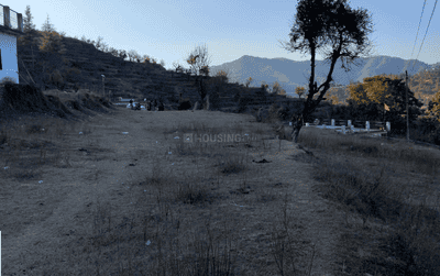 Image of 9720 Sq.ft Residential Plot / Land for sale in Balta, Almora for Rs. 6000000