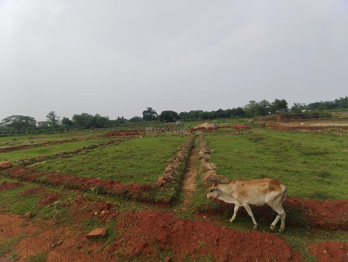 Andharua Main Image 1