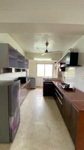 Kitchen Image of 2430 Sq.ft 3 BHK Apartment / Flat for rent in Grand Riviera, Paldi Ahmedabad for Rs. 63000