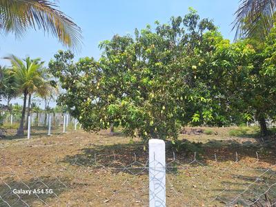 Image of 10000 Sq.ft Residential Plot / Land for sale in Melmaruvathur, Chennai for Rs. 3500000
