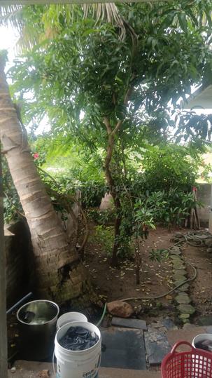 Nenmeli, Chengalpattu More Images 1