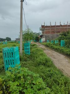Image of 800 Sq.ft Residential Plot / Land for sale in Jhusi, Allahabad for Rs. 4000000