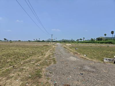 Residential Plot