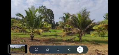 Image of 43560 Sq.ft Residential Plot / Land for sale in Kadapakkam, Chennai for Rs. 7500000