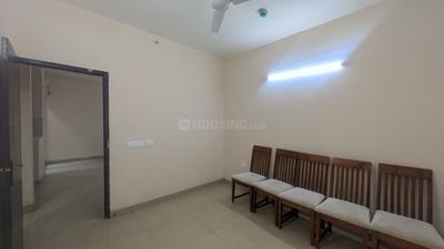 Hall Image of 800 Sq.ft 2 BHK Apartment / Flat for rent in Amrapali Dream Valley 2, Noida Extension Greater Noida for Rs. 18000