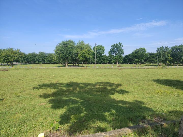 Fortune Main Image 1