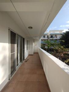 Balcony Image of 1800 Sq.ft 3 BHK Apartment / Flat for rent in Whitefield Bengaluru for Rs. 53000