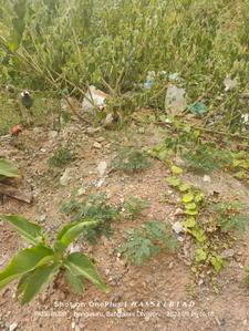 Image of 1200 Sq.ft Residential Plot / Land for sale in Vidyaranyapura, Bengaluru for Rs. 18800000
