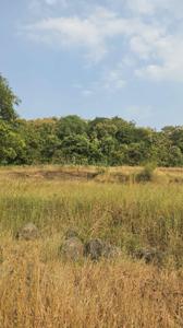 Image of 11000 Sq.ft Residential Plot / Land for sale in Harishchandri, Pune for Rs. 2100000