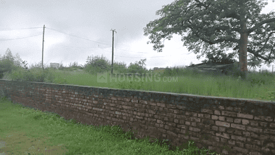 Simaliya Plot View 3