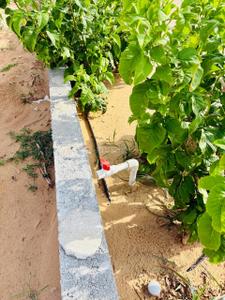 AB group Plot View 3