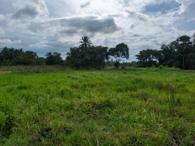 Diamond Park Plot View 3