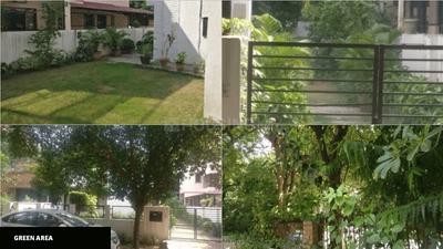 Sector 25 Plot View 2