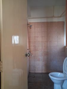 Common Bathroom Image of 820 Sq.ft 2 BHK Apartment / Flat for rent in Jaypee Aman, Sector 151 Noida for Rs. 25000