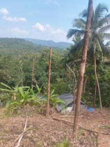 Image of 31798 Sq.ft Residential Plot / Land for sale in Killannur, Thrissur for Rs. 5500000
