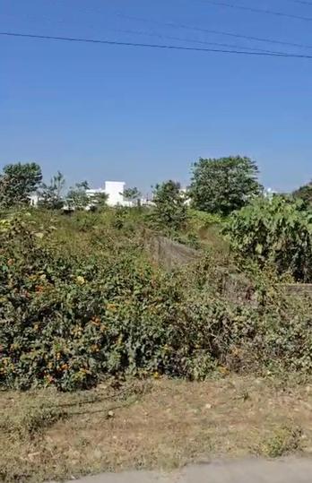 Mothrowala Main Image 1