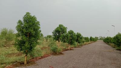 Image of 8000 Sq.ft Residential Plot / Land for sale in Sejbahar, Raipur for Rs. 3600000
