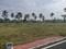 Spring Field Avenue Plot View 2